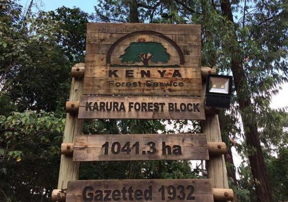 Court orders recovery of 17-acre Karura Forest land worth Ksh2.8 billion illegally allocated to Ex-Minister Joseph Kamotho