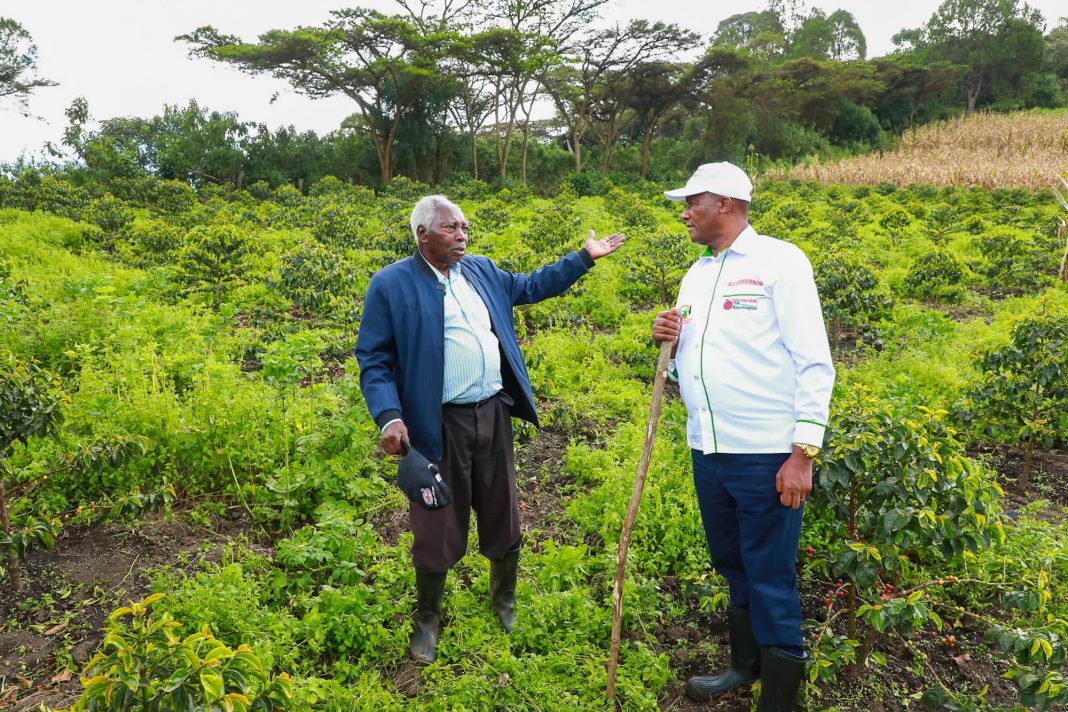 Nyandarua Governor Kiarie Badilisha launches countywide coffee awareness drive to boost farmers’ earnings and diversify agricultural investments