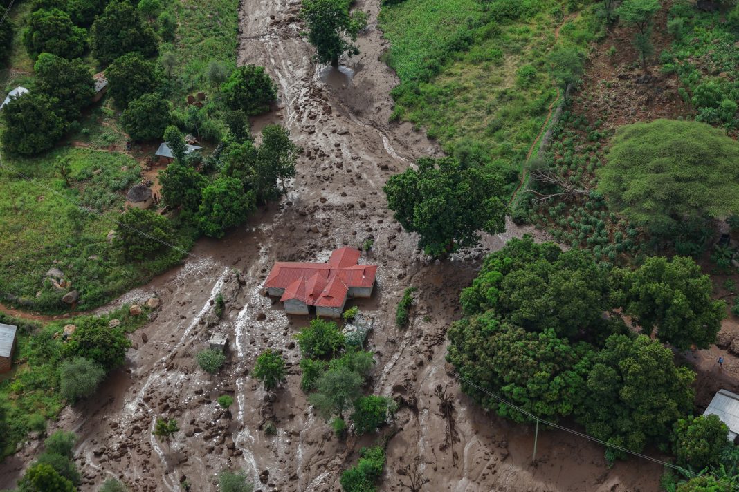 MPs blame deforestation for deadly landslides, push for urgent action on disaster preparedness and environmental protection