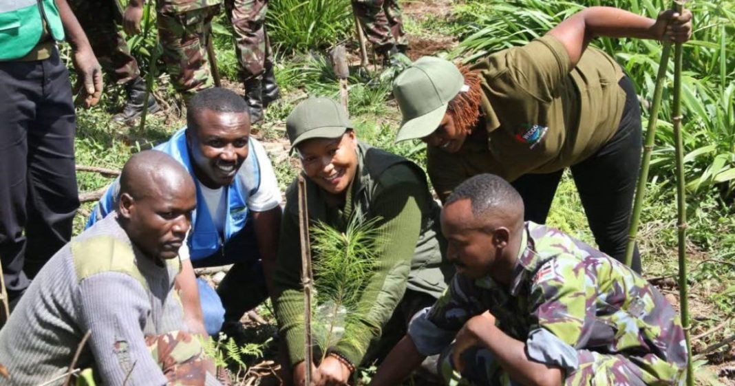Murang’a residents urged to step up tree planting during short rains to boost county’s green cover drive