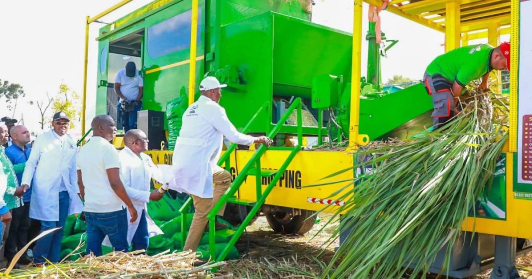 Nyandarua farmers embrace climate-smart fodder technologies to boost milk production and protect livelihoods