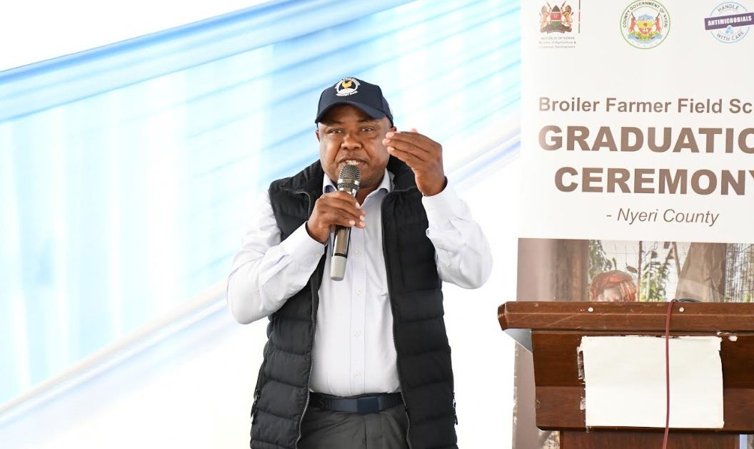 Nyeri farmers graduate in drug-free broiler program, pioneering safe poultry production to curb antimicrobial resistance
