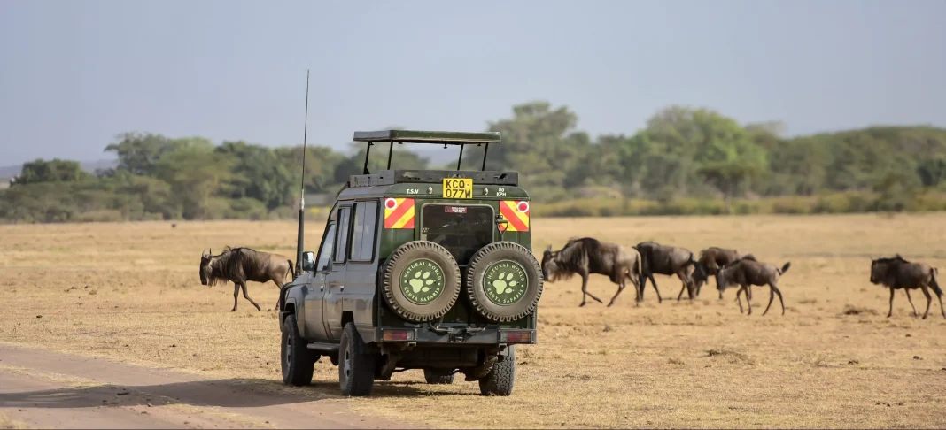 KWS rolls out free park entry offers for festive group visits