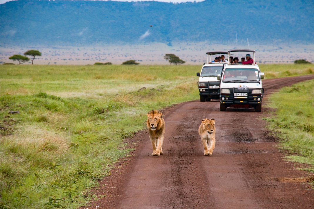 KWS warns motorists against off-road driving in national parks
