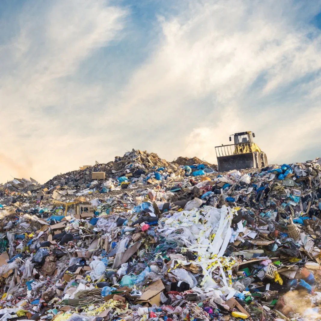 Public health officers push for regulation or ban on diapers