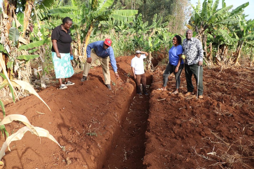 Kiambu steps up climate action in Ndeiya, Karai wards