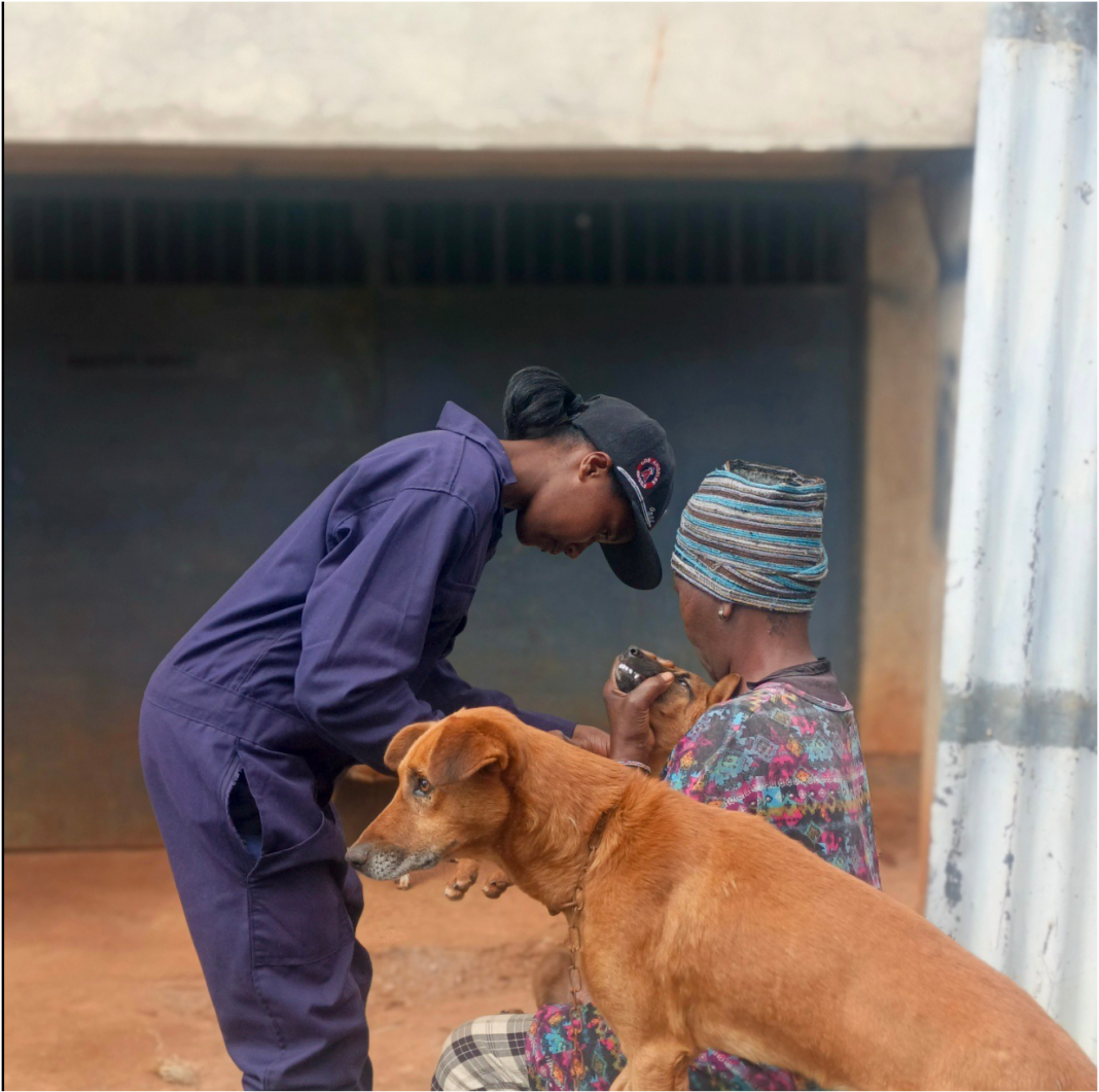 Free rabies vaccination held in Githunguri