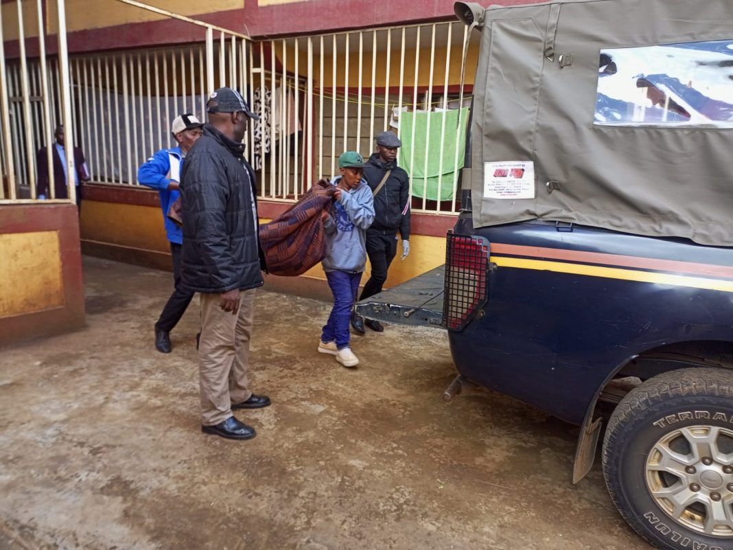 Kikuyu mother suspected in child deaths
